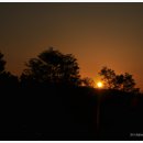 구례포 야영장 이미지