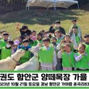 대호목장 이미지