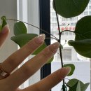 무드네일스튜디오