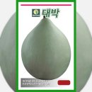 박* - 영덕군 하저2길 | 박*