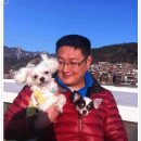 여사님PC 이미지