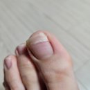 CU산호제일점 | [ 분당 가성비 네일 ] 서현역 네일샵 라꾸 서현