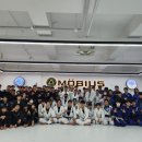 뫼비우스주짓수서