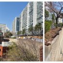 청림동-14 이미지