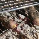 순이농장 | [주말농장] 호박고구마 재배, 고라니 습격, 그리고 수확