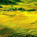 공공용 52 이미지