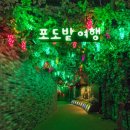 영동와인터널 화장실 이미지