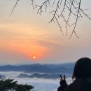 어뮤즈 545 이미지