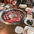 의성읍한우회