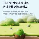 원테크 | 케이뱅크 돈나무 키우기, 앱테크로 최대 10만원 받는 현실적인 후기 공개!