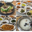산약국 | 역북동 로컬 동네 맛집 산약뜰, 한방능이닭백숙/돌솥밥정식 식사후기