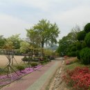 장기중학교 이미지