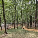 갈뫼어린이공원 이미지