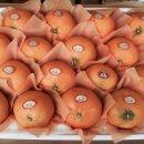 영부농장 이미지