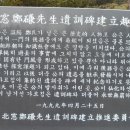 정렴선생묘 Daum카페