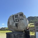 회뜨는 달인 | 통통수박이의 제주여행 2일차(성산일출봉,해녀의집,제주소랑ATV,올래시장,큰솔가흑돼지,갱이네보말칼국수)