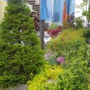 한양불고기 이미지