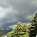 Good Forest | 🏌️‍♀️ 골프장 리뷰｜포천 포레스트힐CC(Forest Hill CC) 라운딩 후기 🌲 자연 속 힐링 라운딩