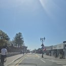 호랑이 | 경주 황리단길 돈카츠맛집 호랑이카츠 후기