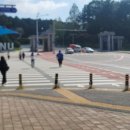 롯데리아 충남대 이미지