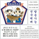 [6월2일] 하모(회,샤브)+성게알+고노와다,목포홍어,활전복,뻘낙지,바지락살 이미지