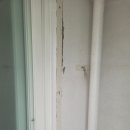 그린환경개발 | 대전 탄성코트 용운동 한화꿈에그린 안방베란다 벽체 오염 곰팡이 결로 보수 페인트 시공 후기