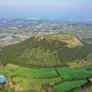 금오름 가는 길 이미지