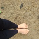 새벽숲농장 이미지