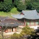 비;숲