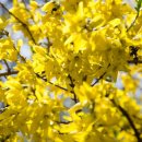 연서정형외과의원 이미지