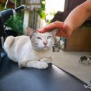 산위의마을 이미지