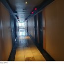 새미래트윈스 이미지