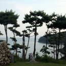 펄레스토랑 이미지