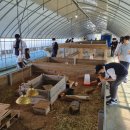 주주팜 | 어린이를 위한 주주팜 동물체험농장 방문 후기