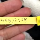 세탁반장 이미지