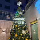 인프릭스인터내셔널(주) | 명동 르메르디앙 미드센추리 에어서울 요나고 관광 설명회 후기