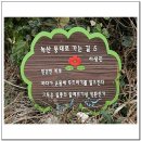 녹산등대가는길 이미지