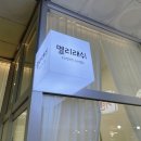 멜리래쉬 네이버블로그