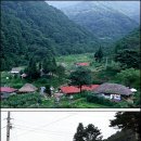 심원펜션 이미지