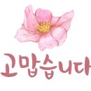 결벽증카케어 이미지