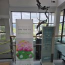 삼산이수 | 부항댐물문화관 삼산이수갤러리 / 송연규 개인전 「숲은 기억처럼 천천히 스며든다」