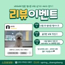 스프링댕댕 이미지