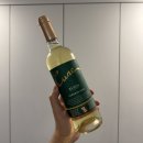 루에다 | 코스트코 만원대 가성비 화이트 와인 추천 쿠네 루에다 베르데호 2023 후기 (Cune Rueda Verdejo 2023)