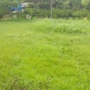 정족1길 이미지