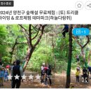 숲체험 리틀 포레스트 이미지