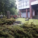 제주대학교 박물관 이미지