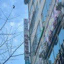 위드볼링장 네이버블로그