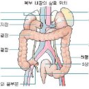 육장인 이미지