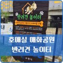 금곡동반려견놀이터 이미지