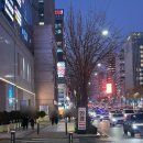 e-좋은안경콘택트 | 신논현역안경 하늘안경콘택트에서 안경 맞춘 후기